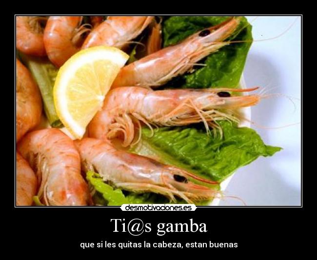 Ti@s gamba - 