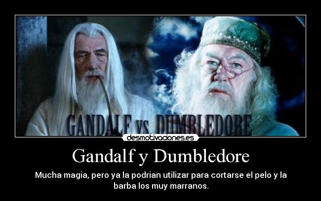 Gandalf y Dumbledore - 