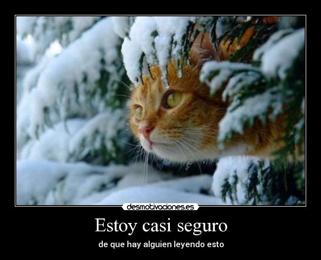 Estoy casi seguro - de que hay alguien leyendo esto