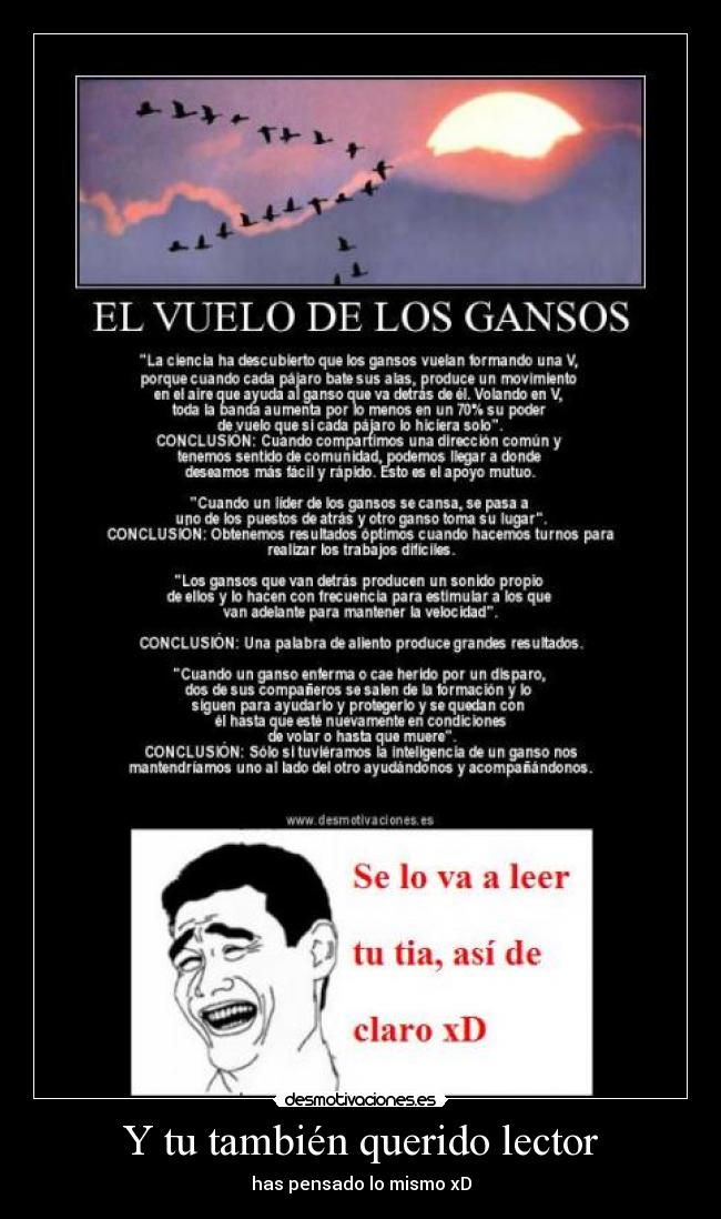 Y tu también querido lector - 