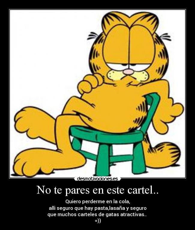 carteles cola garfield lasana carteles gatas atractivas desmotivaciones