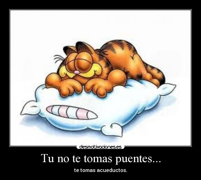 Tu no te tomas puentes... -