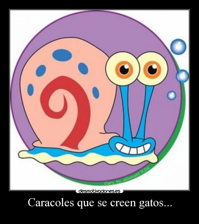 Caracoles que se creen gatos... -