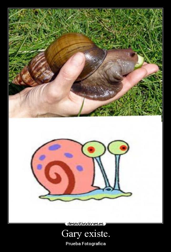 Gary existe. - Prueba Fotografica