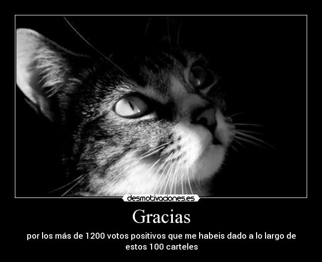 Gracias - 