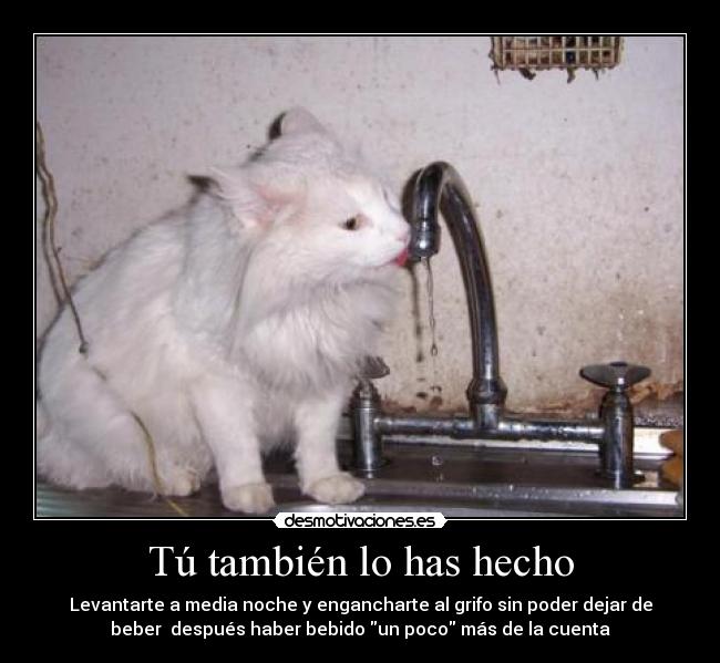 carteles grifo desmotivaciones