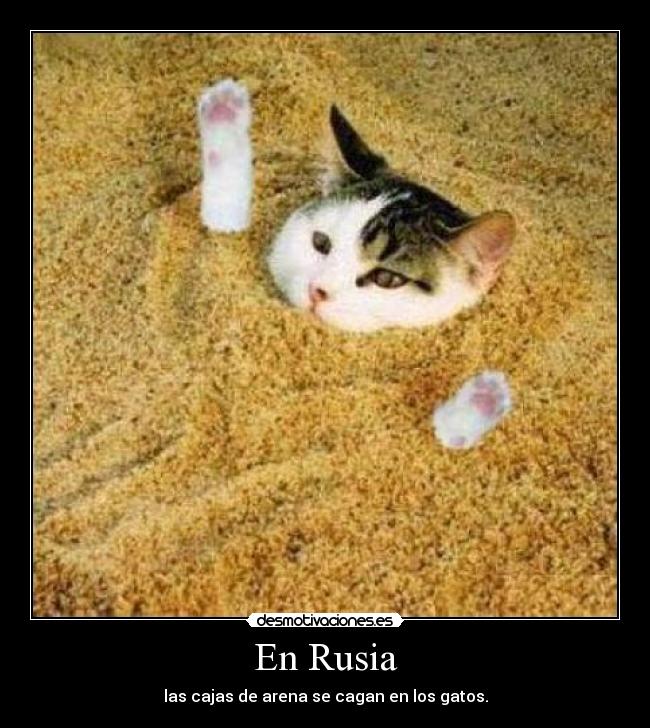 En Rusia - 