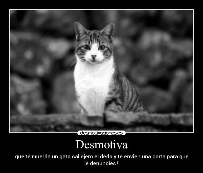 Desmotiva - 