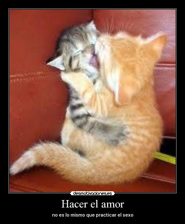 Hacer el amor -