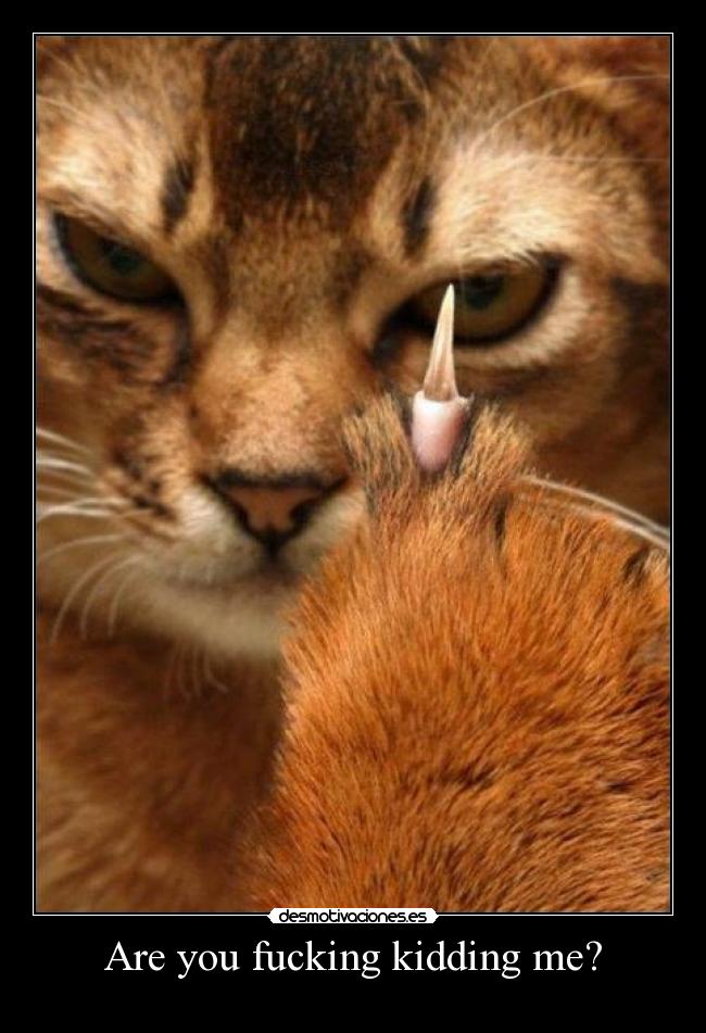 Are you fucking kidding me? -