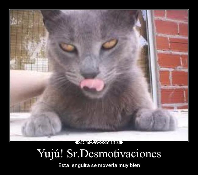 Yujú! Sr.Desmotivaciones - 