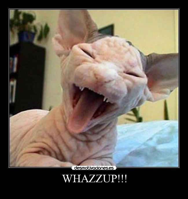 carteles lokiel desmotivaciones