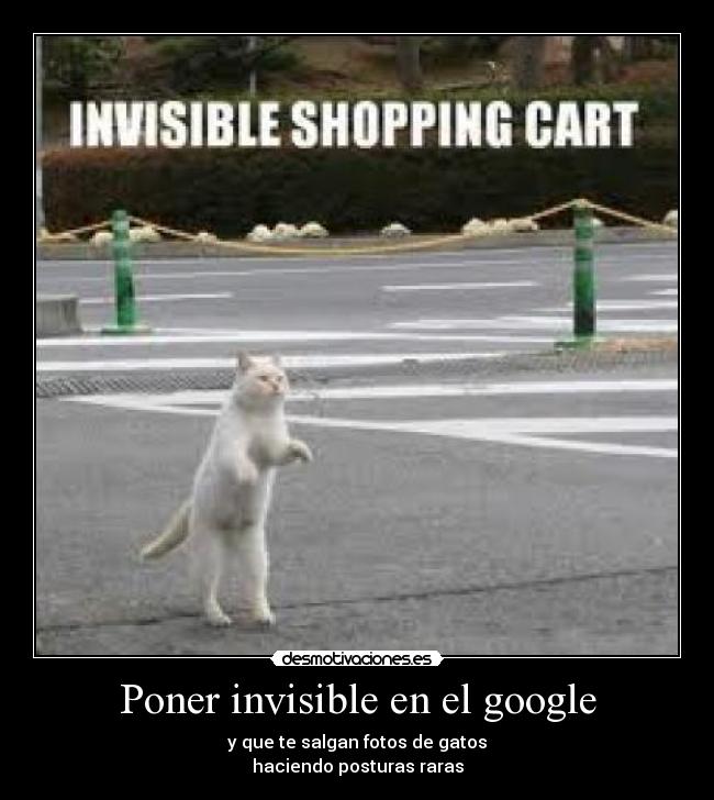 Poner invisible en el google -