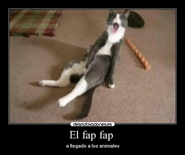 El fap fap -