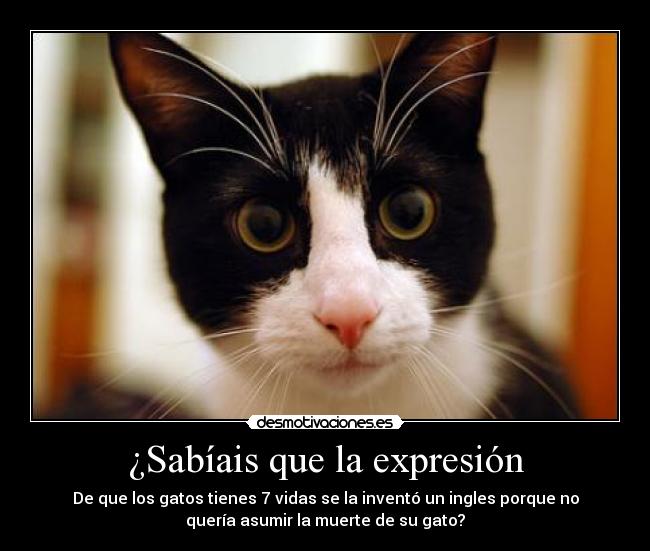 carteles nhjjhkjlkjlnn desmotivaciones