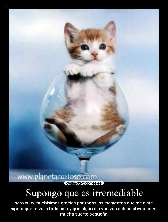 Supongo que es irremediable -