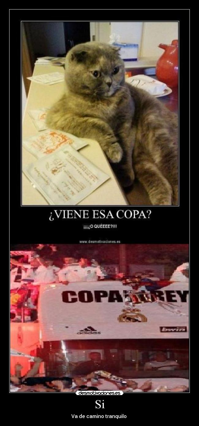 Si - Va de camino tranquilo