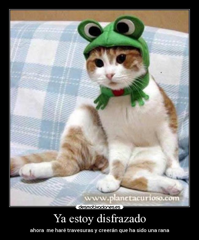 Ya estoy disfrazado - 
