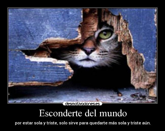 Esconderte del mundo - por estar sola y triste, solo sirve para quedarte más sola y triste aún.