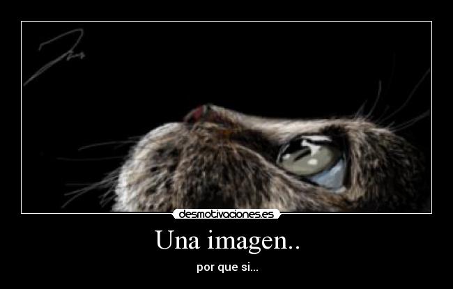 Una imagen.. -