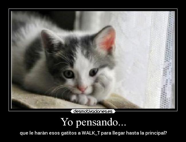Yo pensando... - que le haràn esos gatitos a WALK_T para llegar hasta la principal?