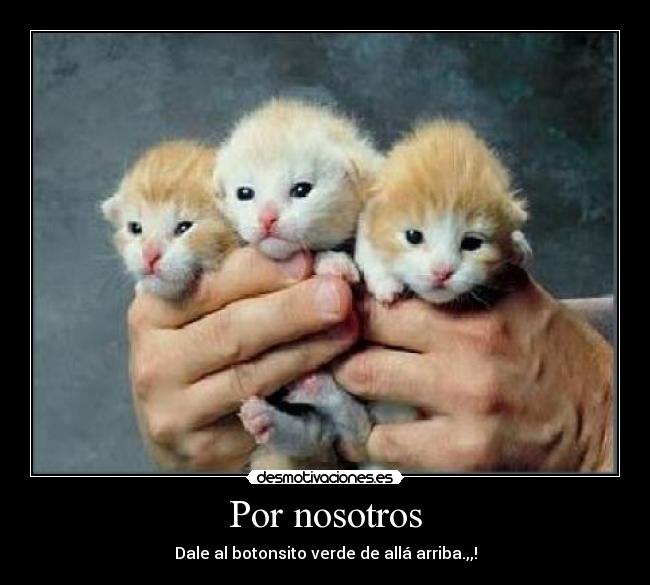 Por nosotros - Dale al botonsito verde de allá arriba.,,!
