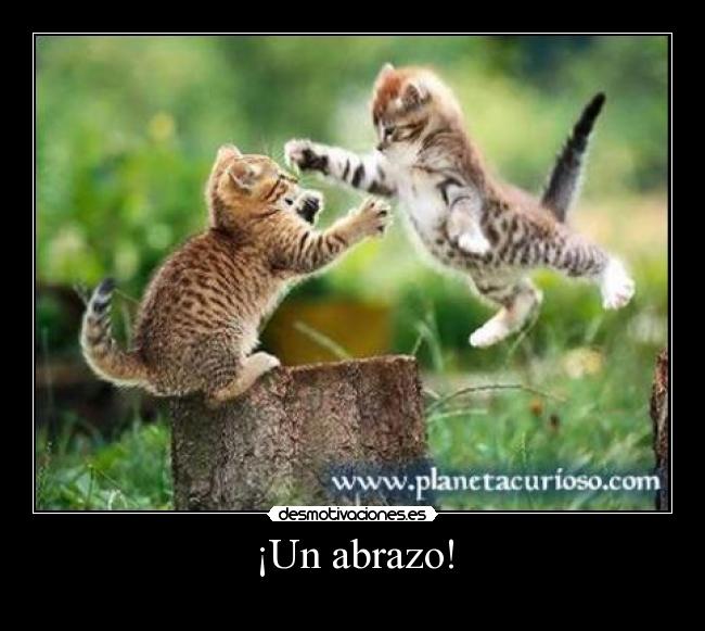 ¡Un abrazo! - 