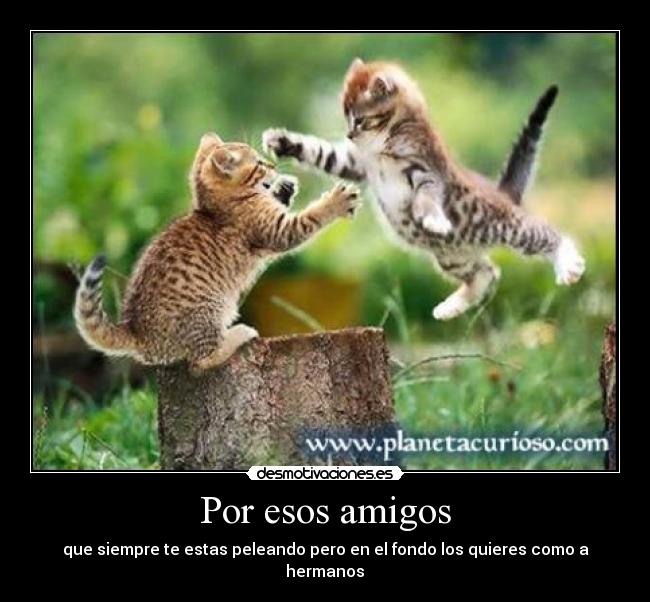 Por esos amigos - que siempre te estas peleando pero en el fondo los quieres como a hermanos♥