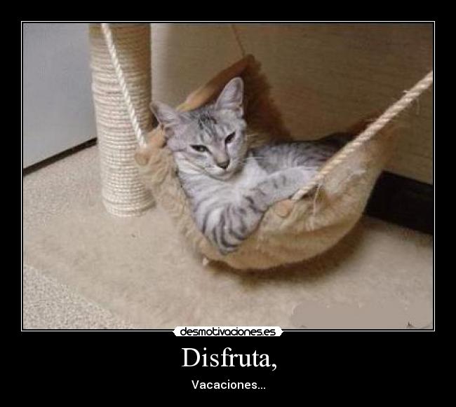 Disfruta, - 