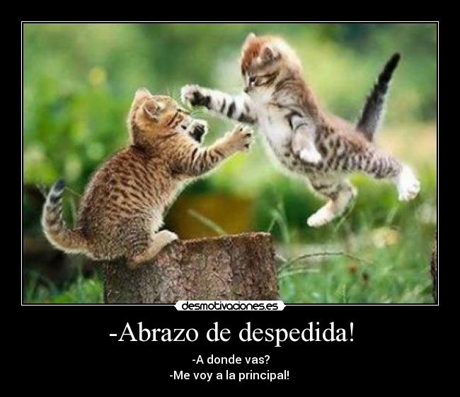 -Abrazo de despedida! - 