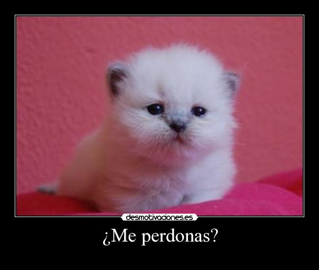 ¿Me perdonas? -