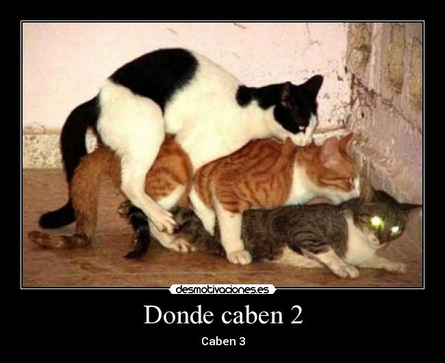 Donde caben 2 - 