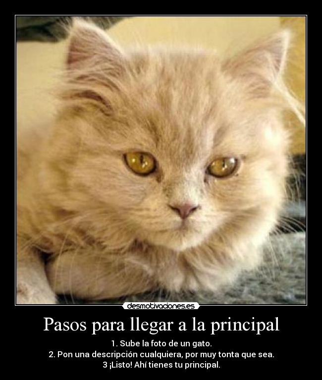 Pasos para llegar a la principal -