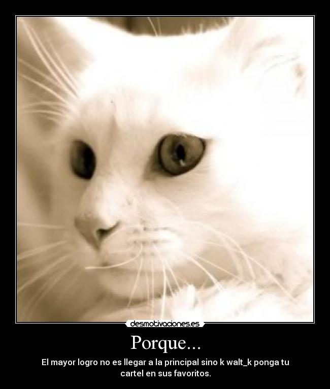 Porque... - El mayor logro no es llegar a la principal sino k walt_k ponga tu
cartel en sus favoritos.