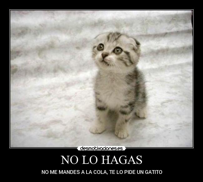 NO LO HAGAS -