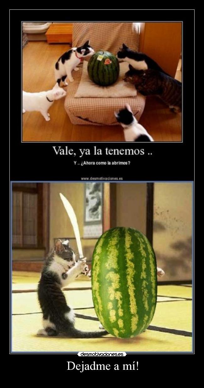Dejadme a mí! -