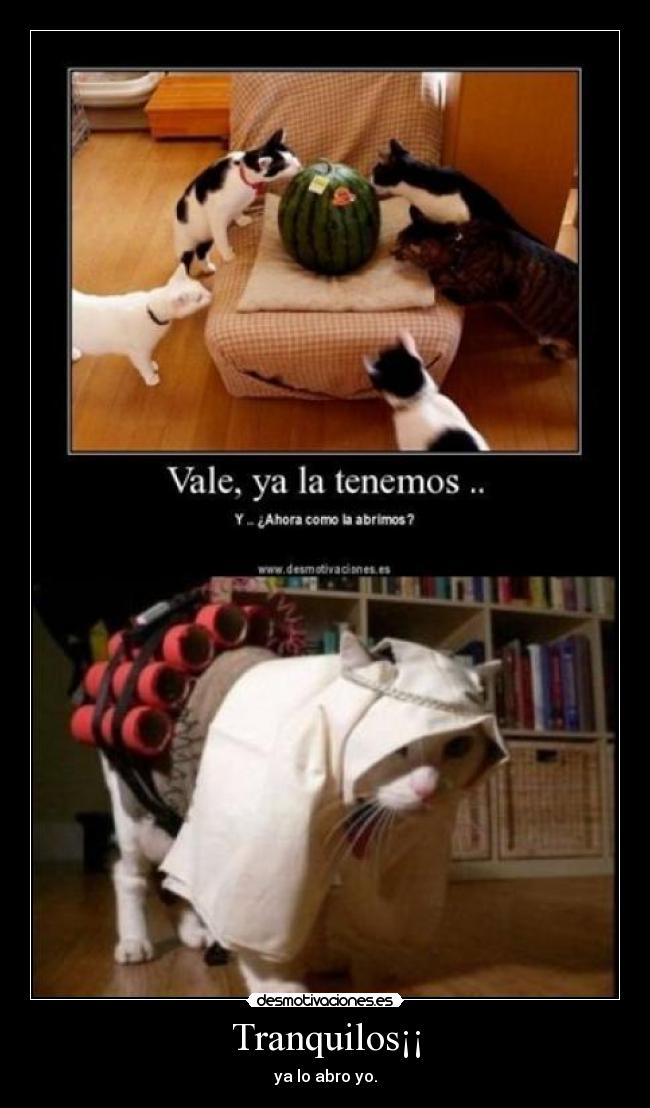 Tranquilos¡¡ - ya lo abro yo.