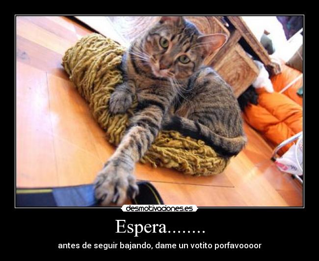 Espera........ - antes de seguir bajando, dame un votito porfavoooor