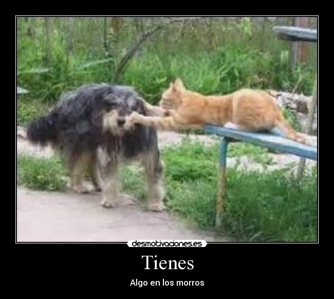 Tienes - Algo en los morros