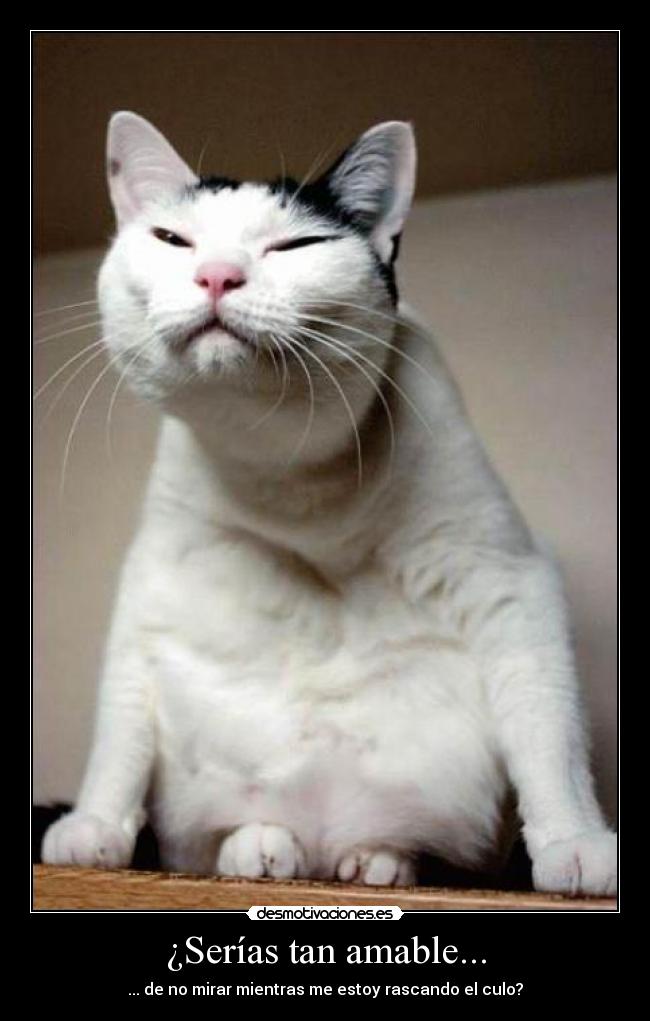 ¿Serías tan amable... - 