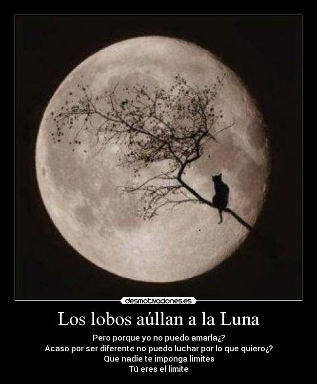 carteles los lobos aullan luna desmotivaciones
