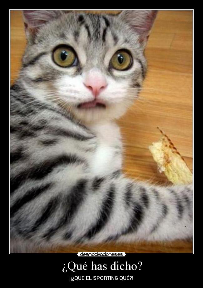 ¿Qué has dicho? - ¡¡¿QUE EL SPORTING QUÉ?!!
