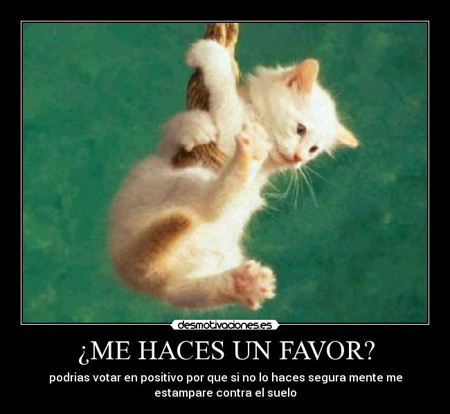 ¿ME HACES UN FAVOR? -