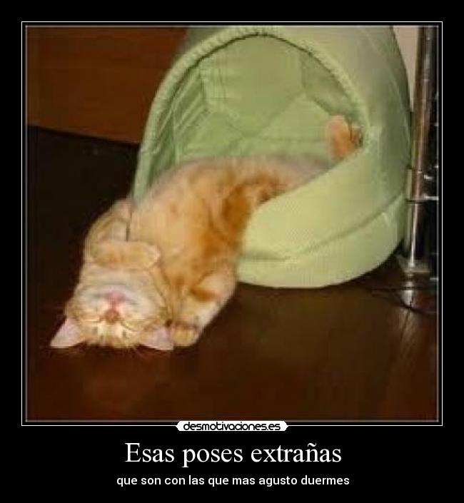 Esas poses extrañas -