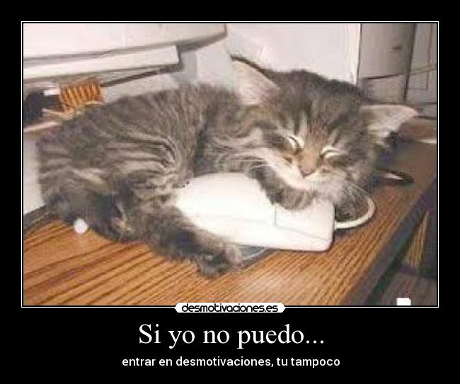 Si yo no puedo... - entrar en desmotivaciones, tu tampoco
