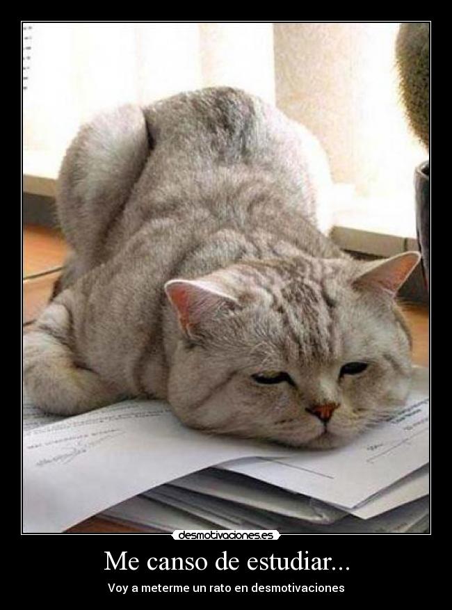 Me canso de estudiar... -