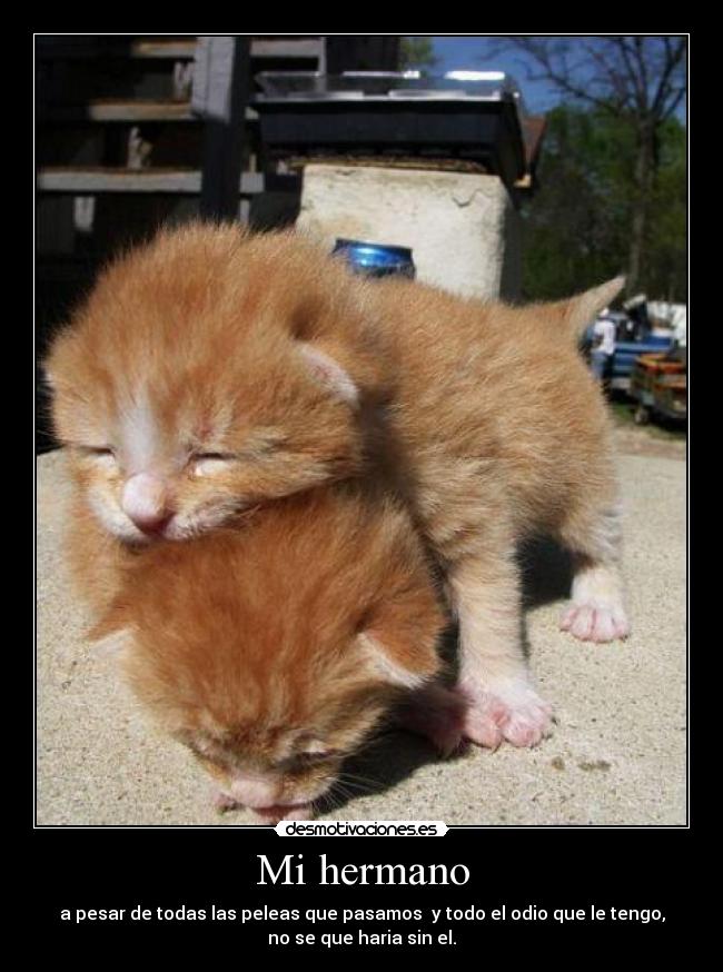 Mi hermano -
