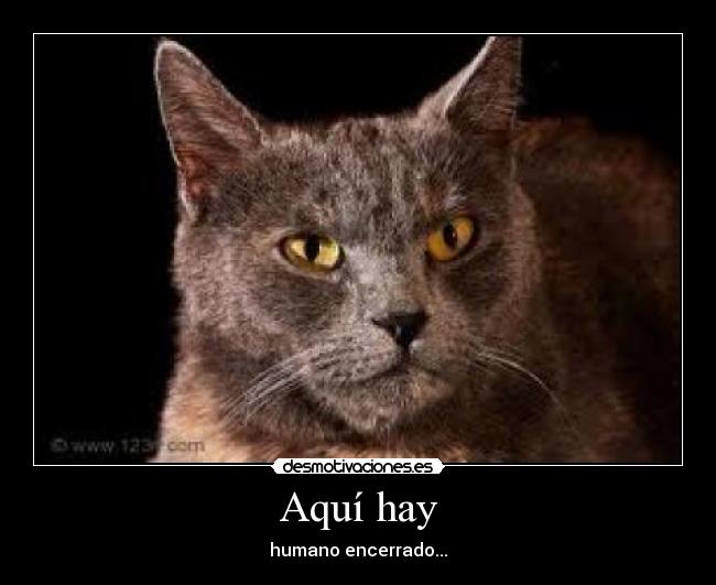 Aquí hay - humano encerrado...