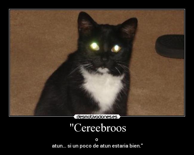 carteles gatoszombie cerebros atun desmotivaciones