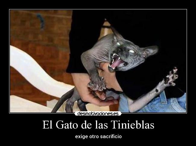 El Gato de las Tinieblas - 